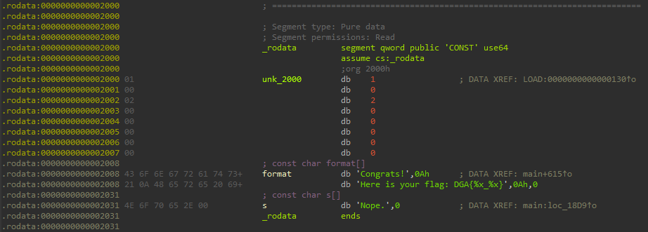 .rodata segment data